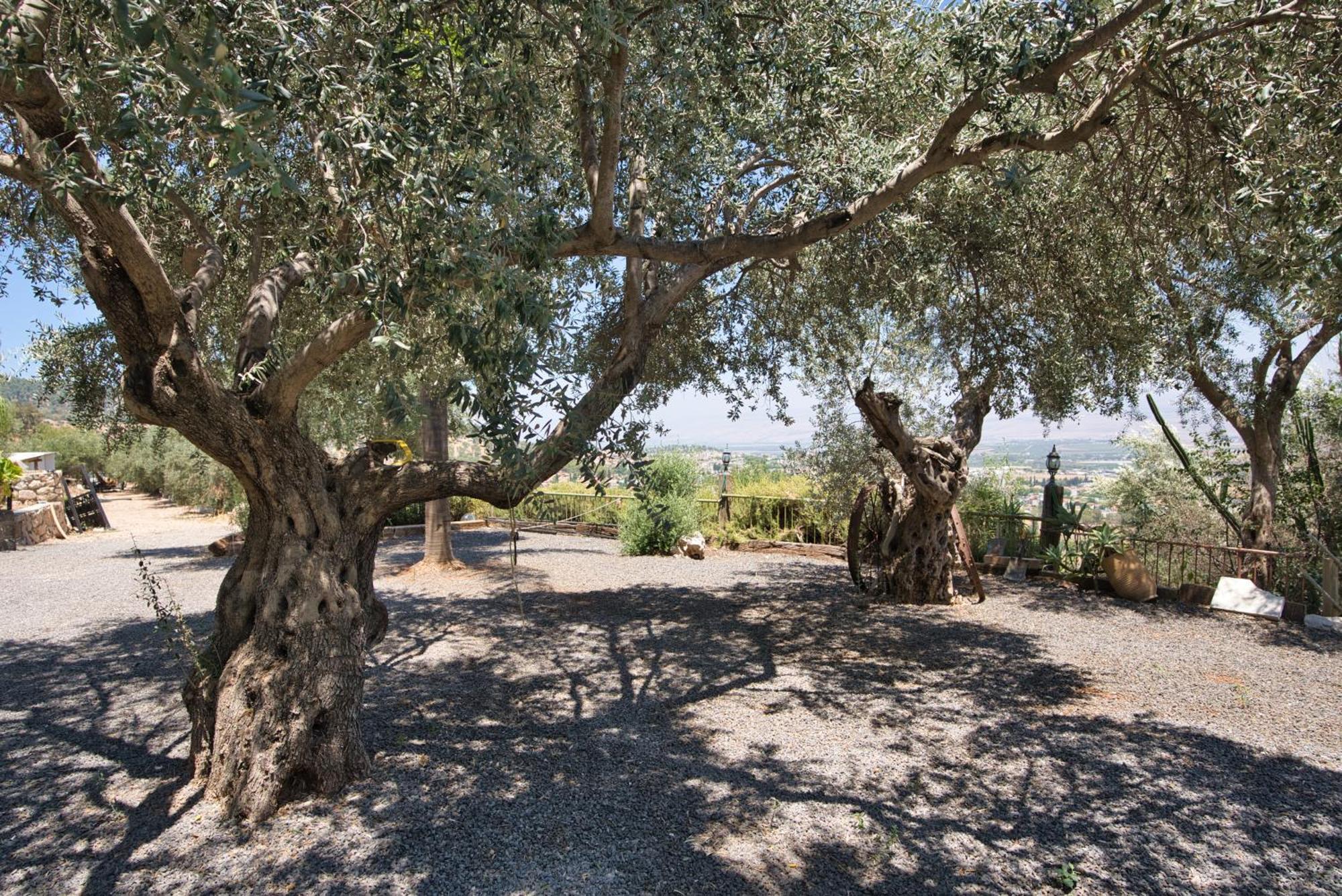 Hameiri Estate Rosh Pina Extérieur photo
